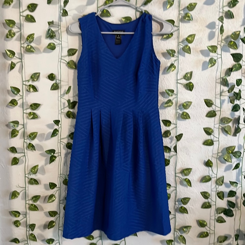 Blue En Focus V-Neck Dress, Size 4